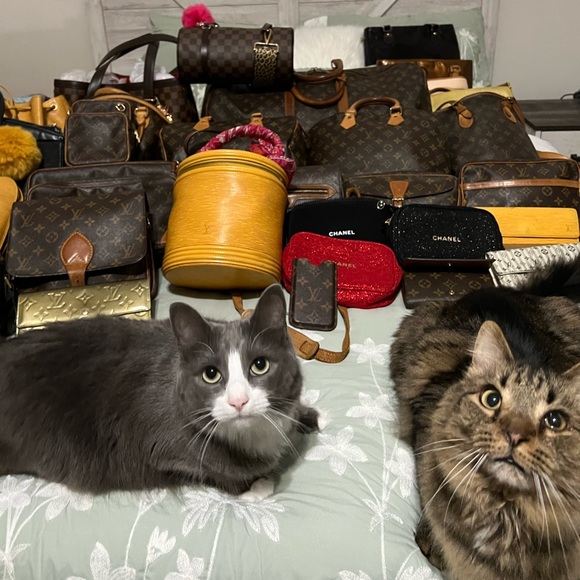 Meet your Posher, Jorayne - Picture 5 of 7